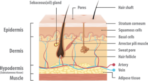آکادمی تخصصی پوست و مو زیبایی گود اسکین,ریموو تتو با لیزر,لیزر واریس,پیرسینگ,فیبروز ابرو,میکروبلیدینگ,دستگاه‌های پوستی,پاکسازی پوست,موهای زیر پوستی
