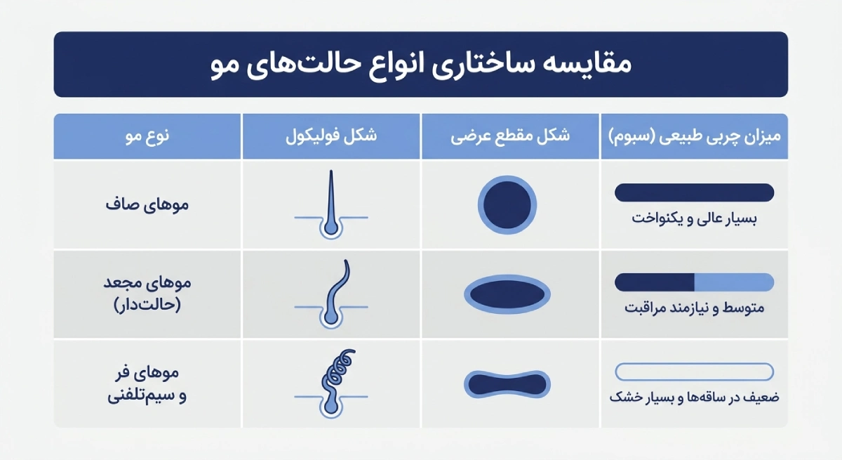 مقایسه-ساختاری-انواع-حالت-مو